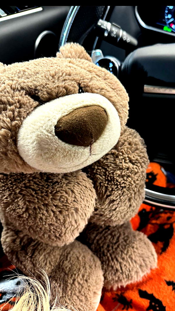 mbuccola97 image ~ Altpins