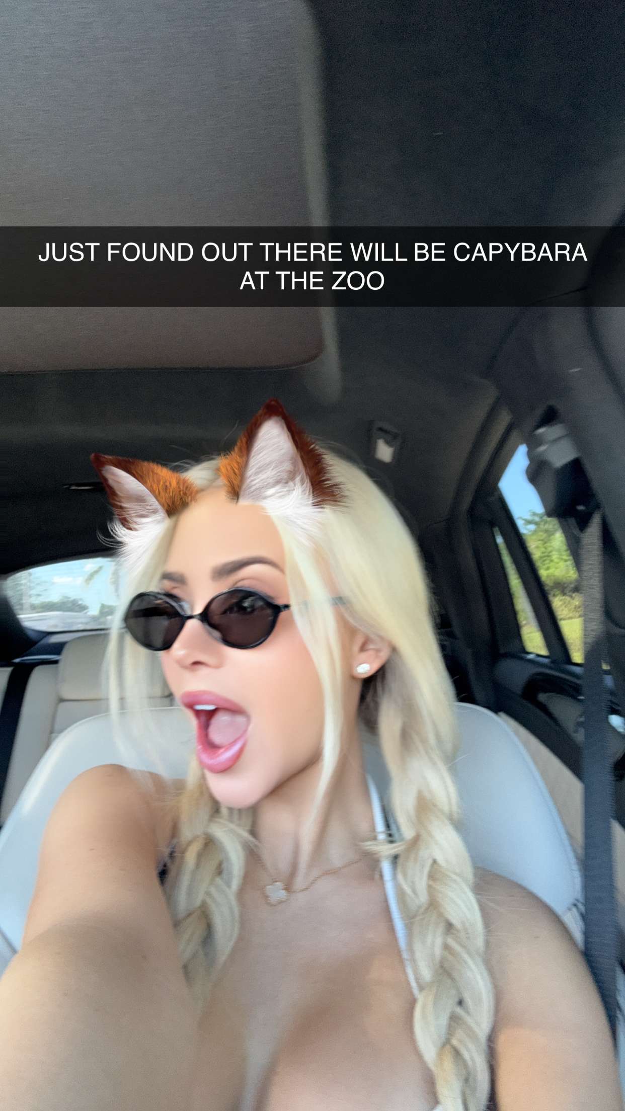 mbuccola97 snapchat image archive image