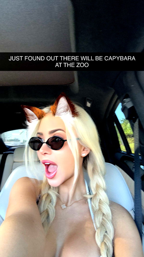 mbuccola97 image ~ Altpins