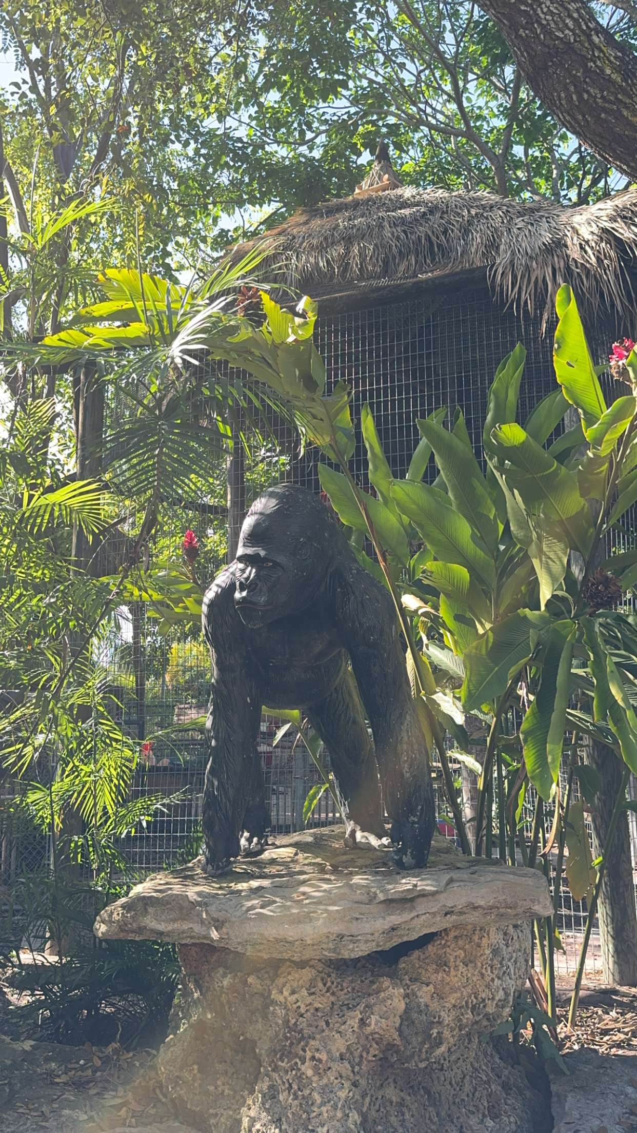 mbuccola97 snapchat image archive image