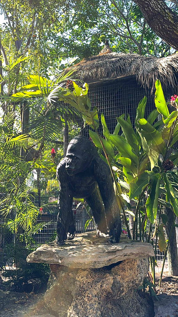 mbuccola97 image ~ Altpins