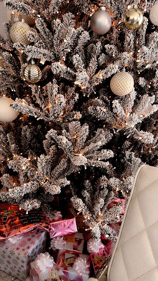 mbuccola97 image ~ Altpins