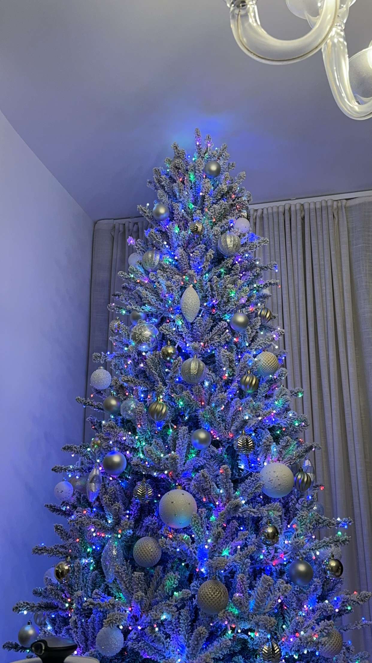 mbuccola97 snapchat image archive image