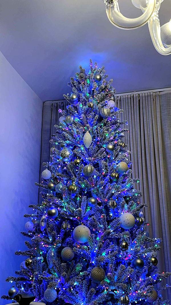 mbuccola97 image ~ Altpins