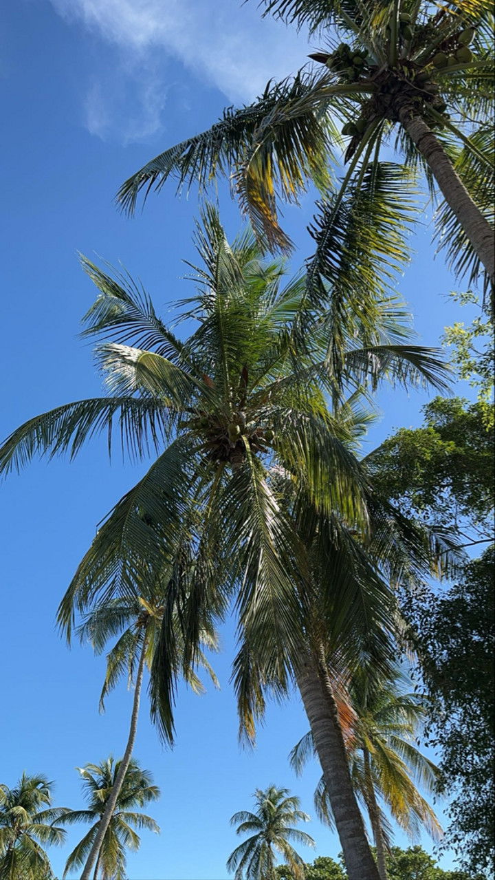 mbuccola97 snapchat image archive image