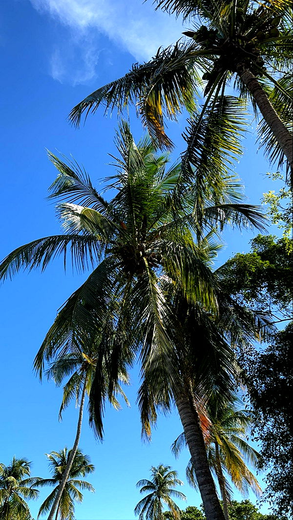 mbuccola97 image ~ Altpins