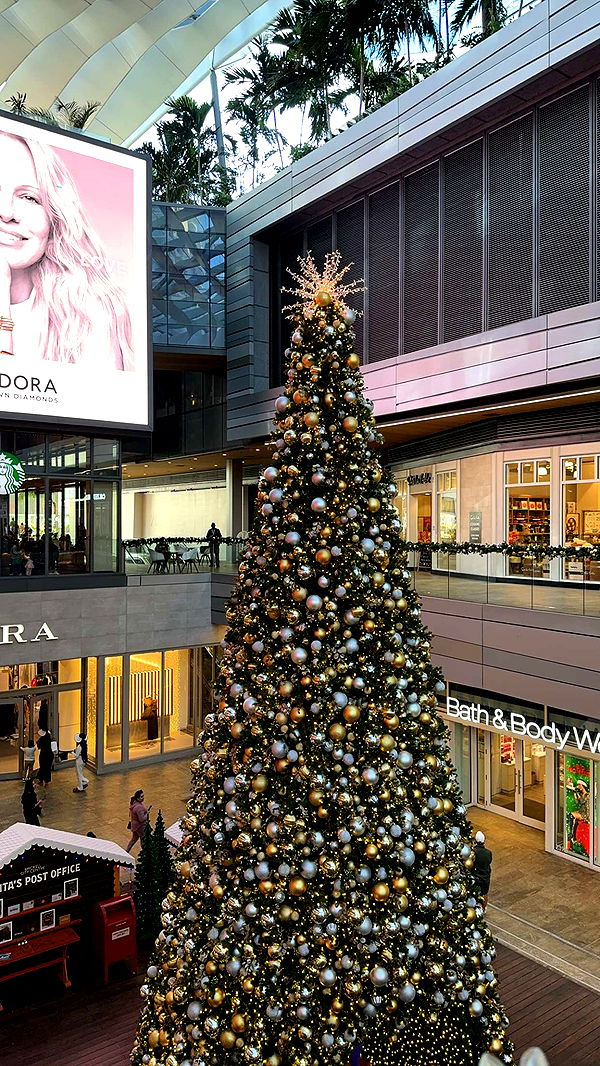 mbuccola97 image ~ Altpins