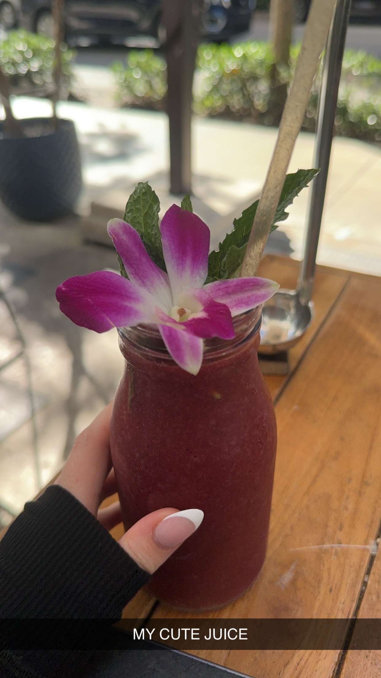 mbuccola97 snapchat image archive image