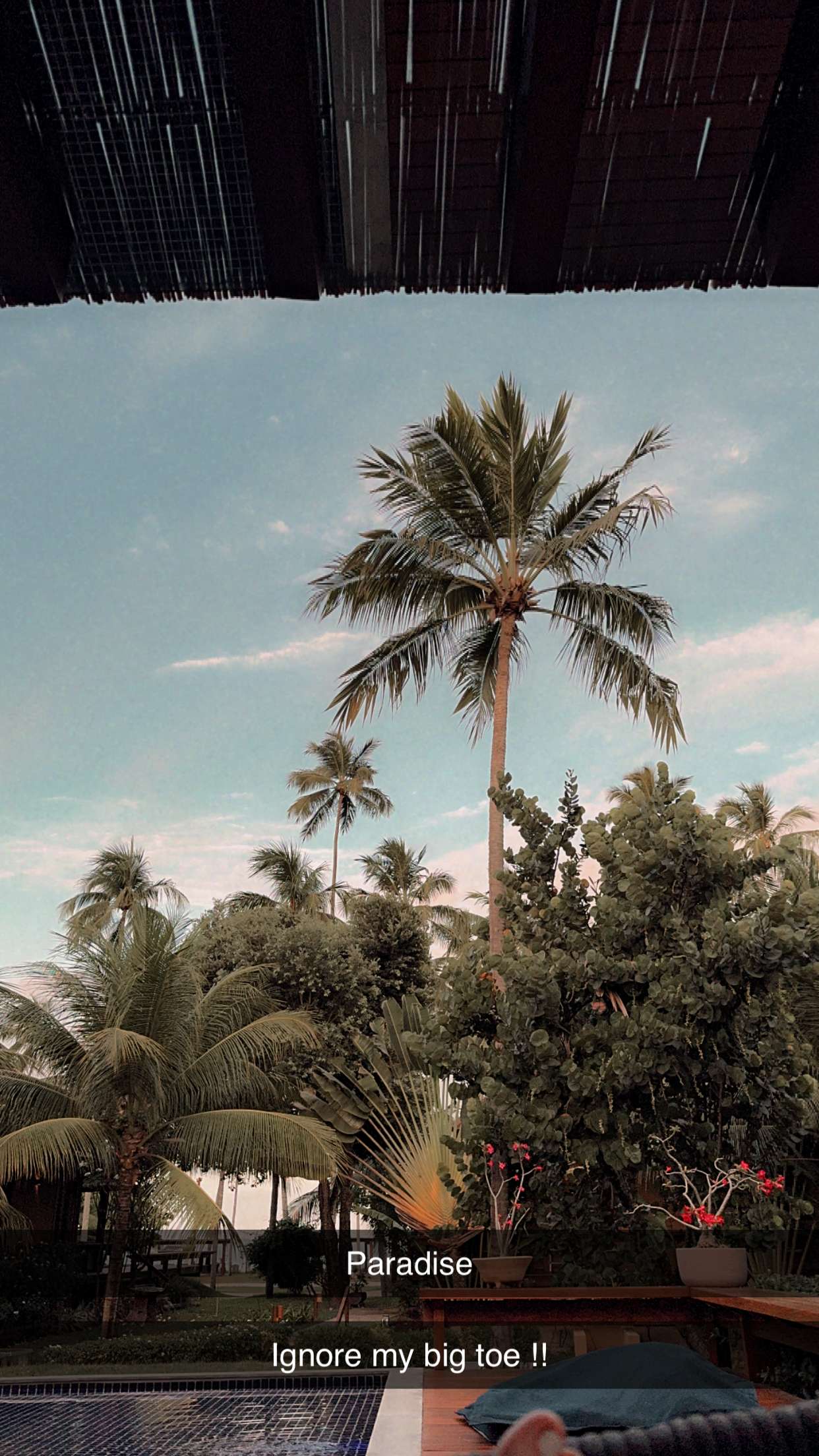 mbuccola97 snapchat image archive image