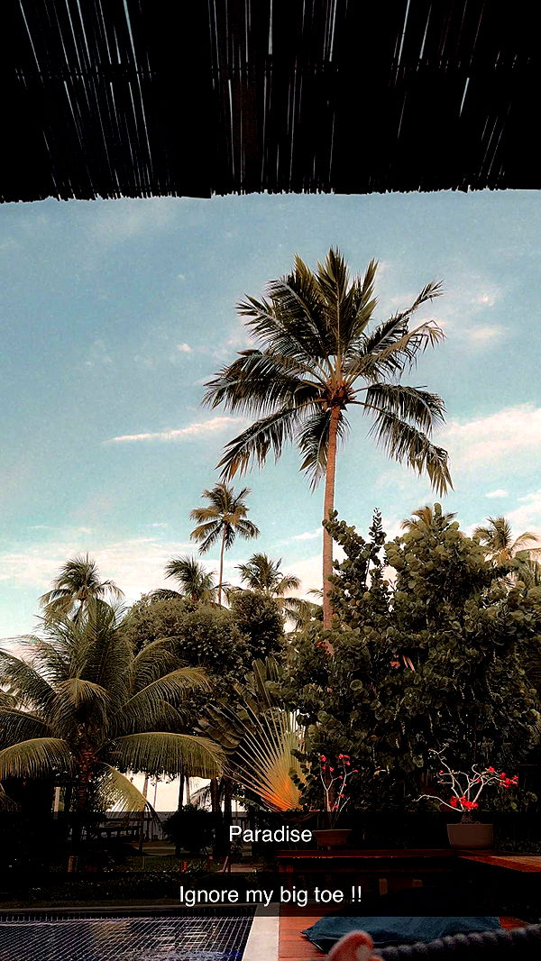 mbuccola97 image ~ Altpins