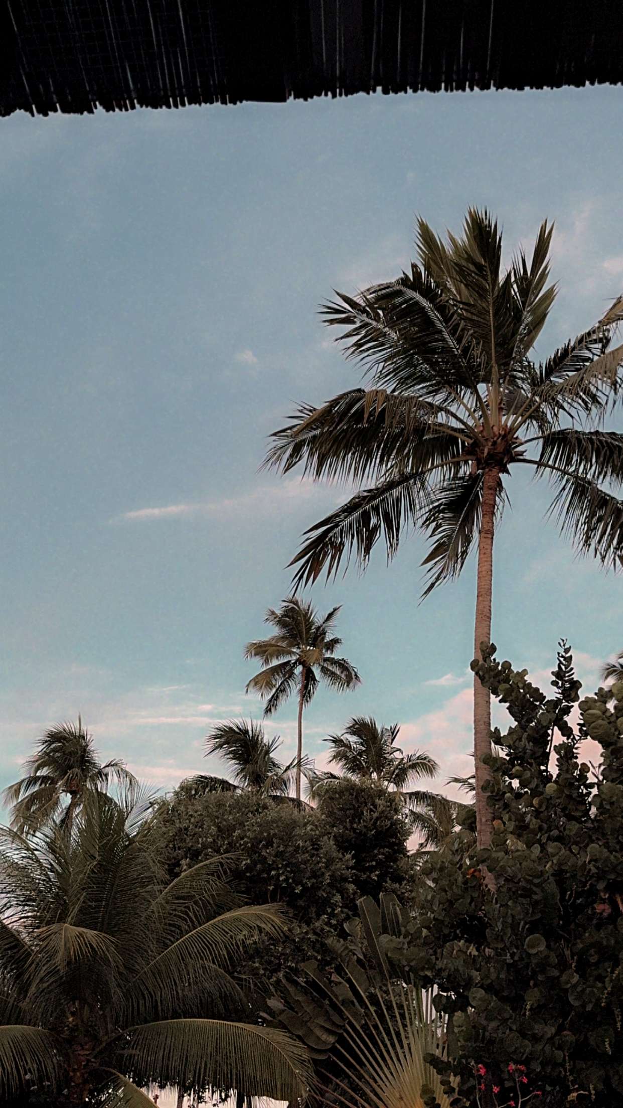 mbuccola97 snapchat image archive image