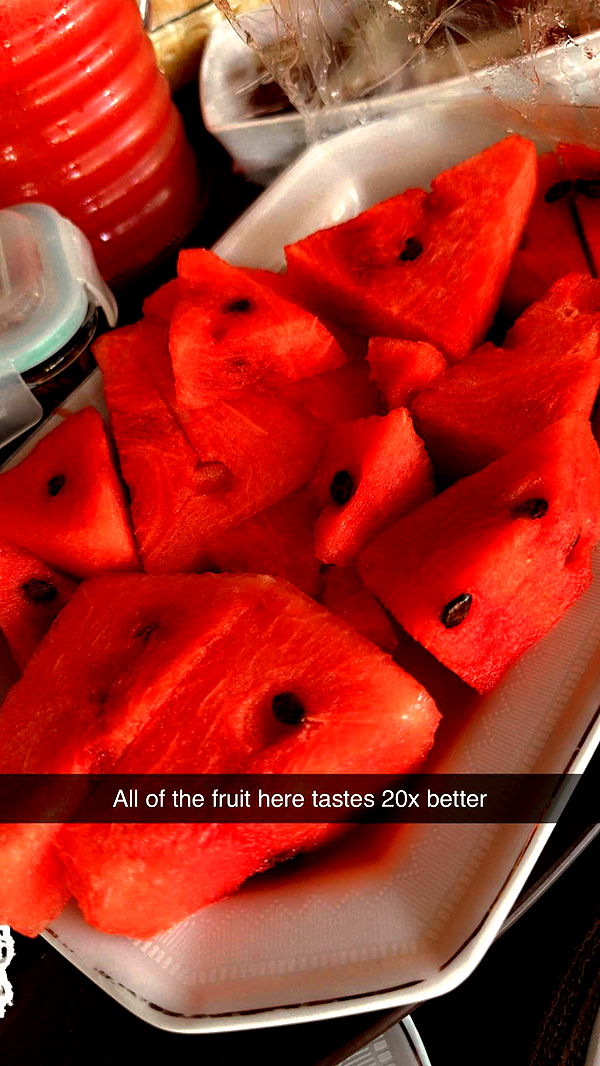 mbuccola97 image ~ Altpins