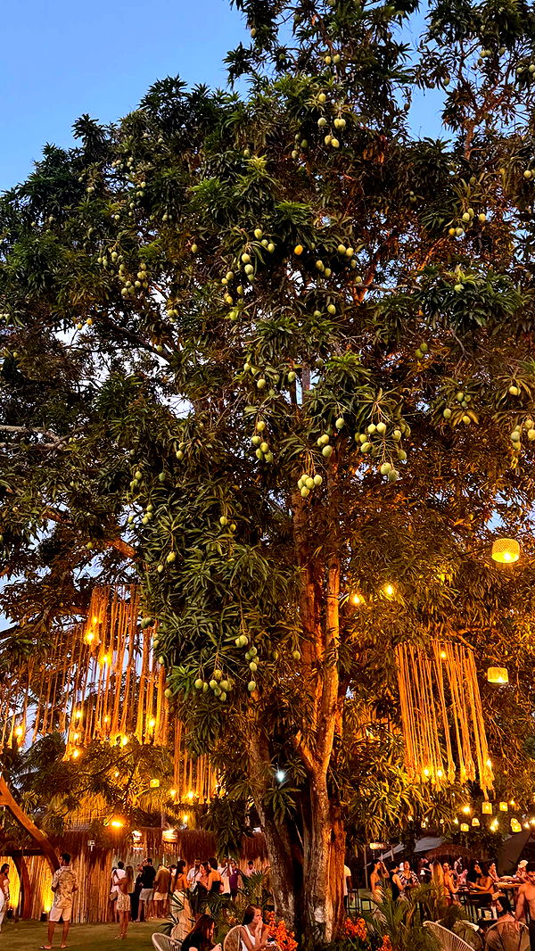 mbuccola97 image ~ Altpins