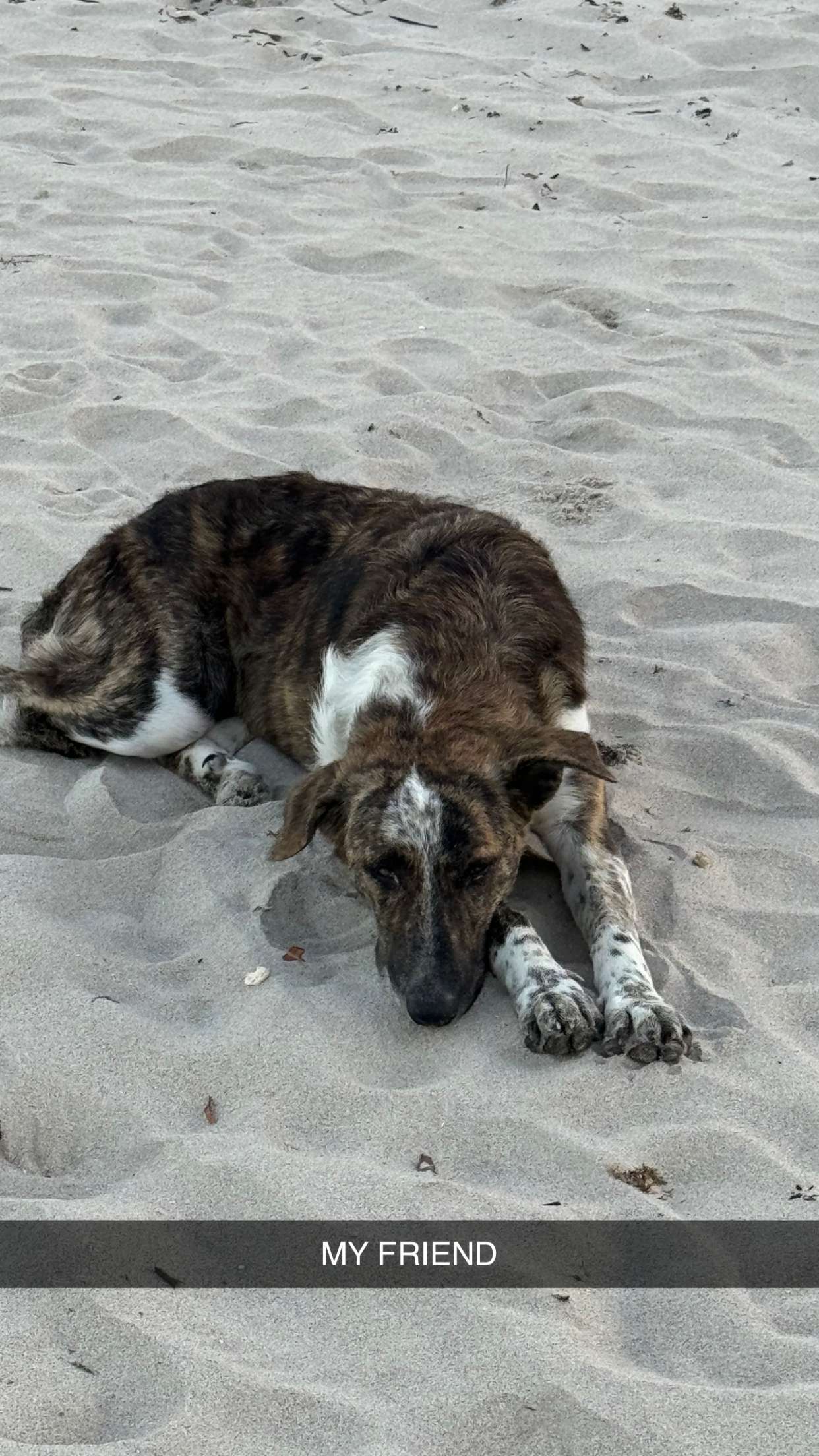 mbuccola97 snapchat image archive image