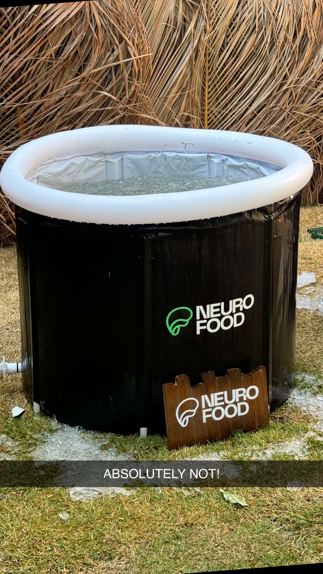 mbuccola97 snapchat image archive image