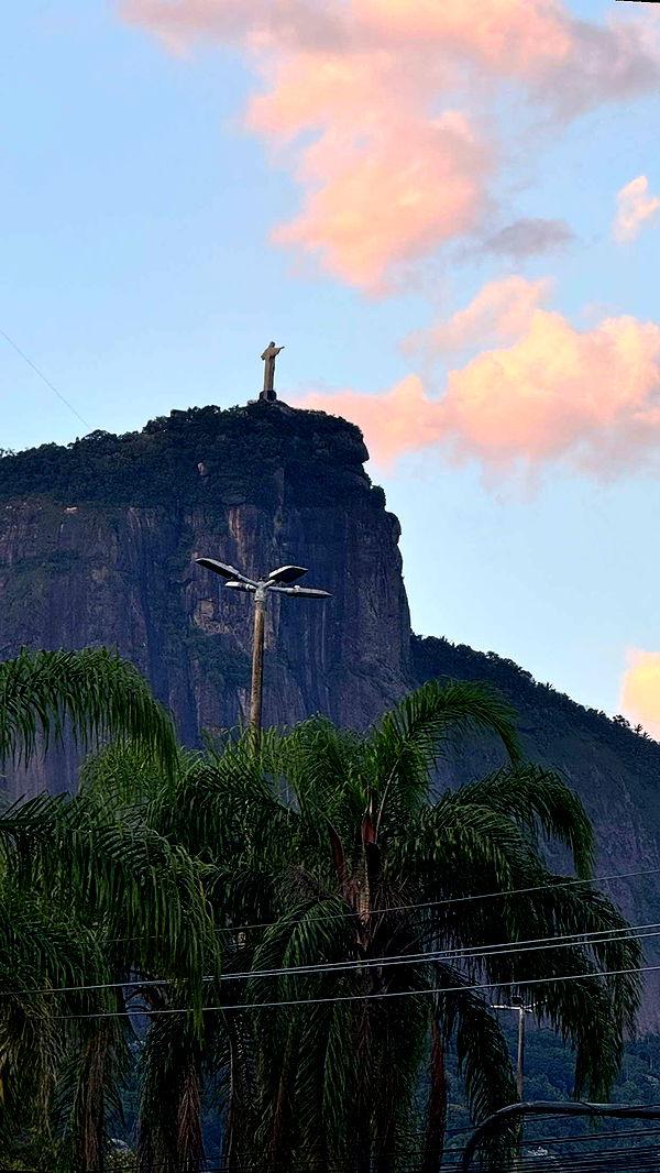 mbuccola97 image ~ Altpins