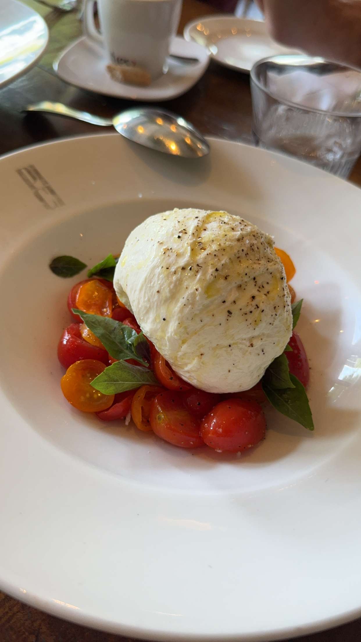 mbuccola97 snapchat image archive image