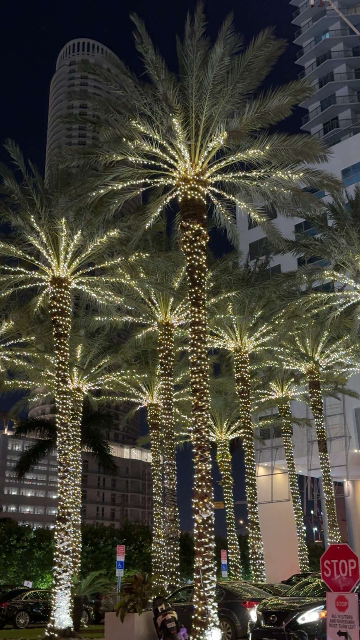 mbuccola97 snapchat image archive image