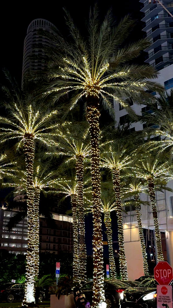 mbuccola97 image ~ Altpins