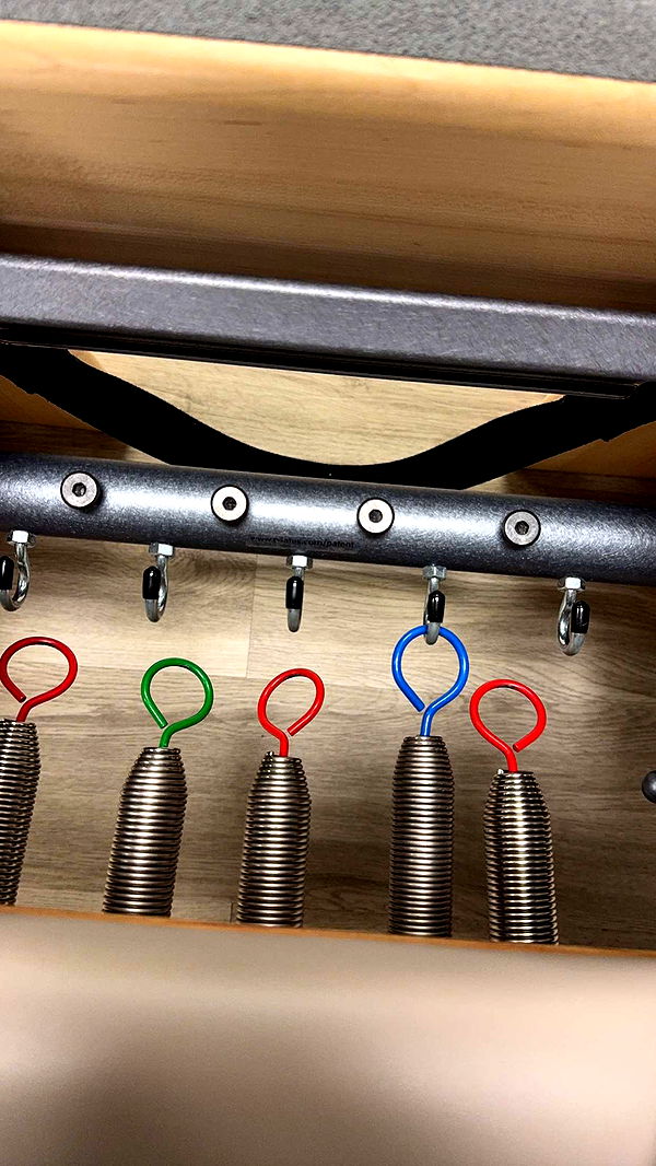 mbuccola97 image ~ Altpins