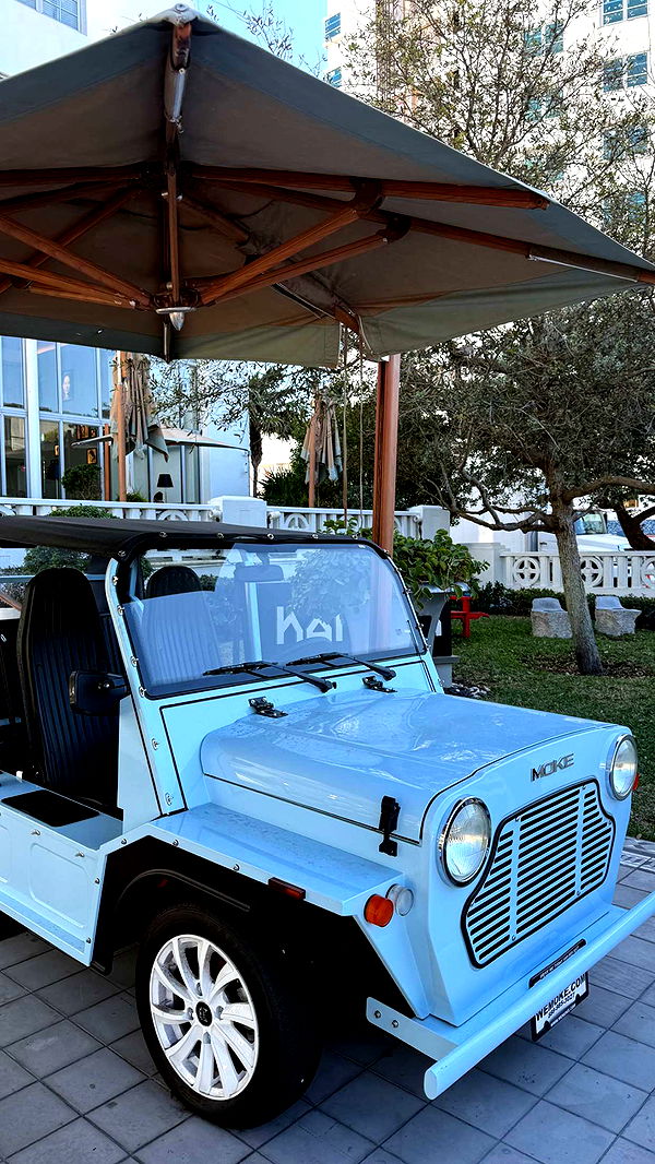 mbuccola97 image ~ Altpins