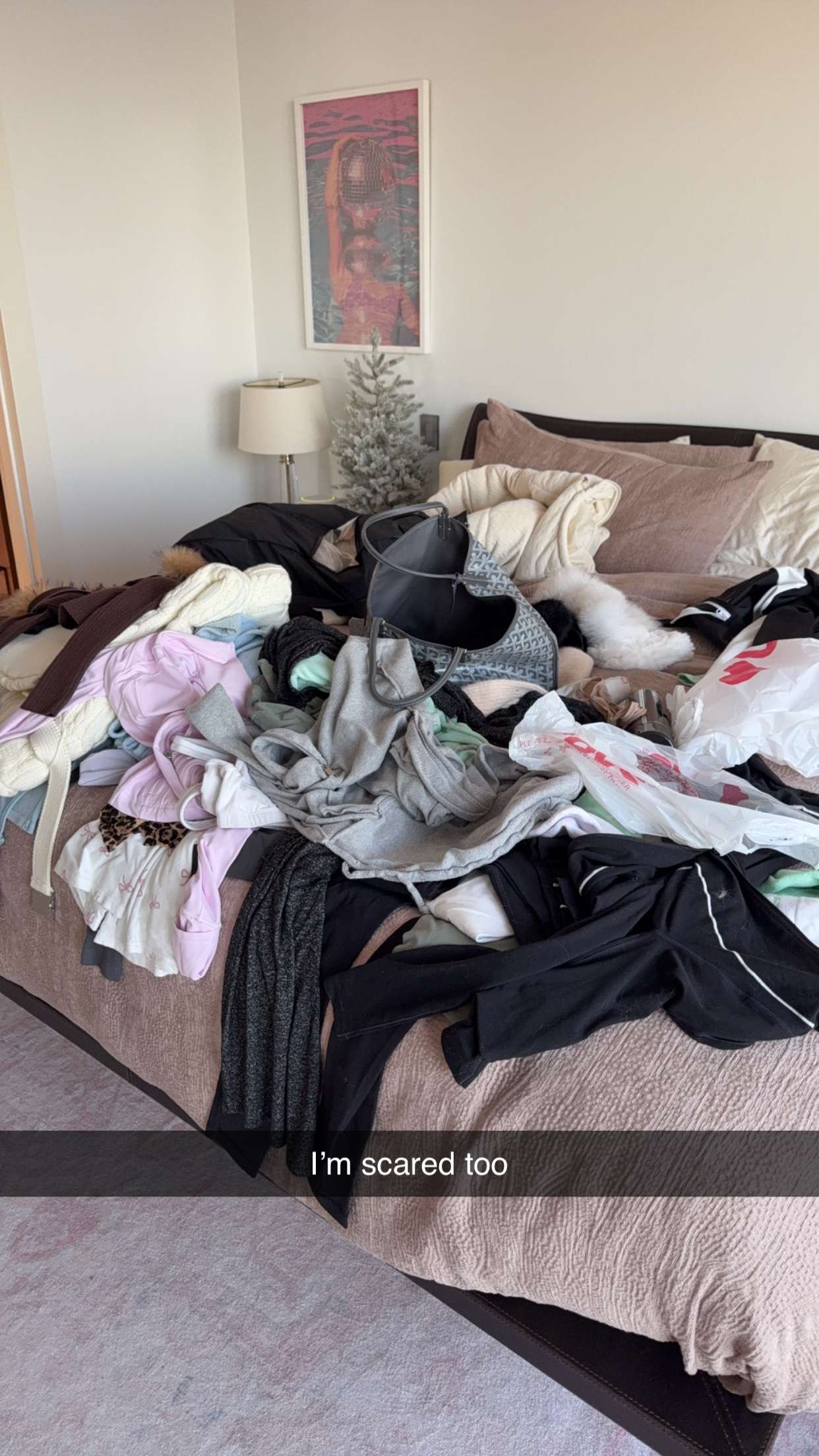 mbuccola97 snapchat image archive image