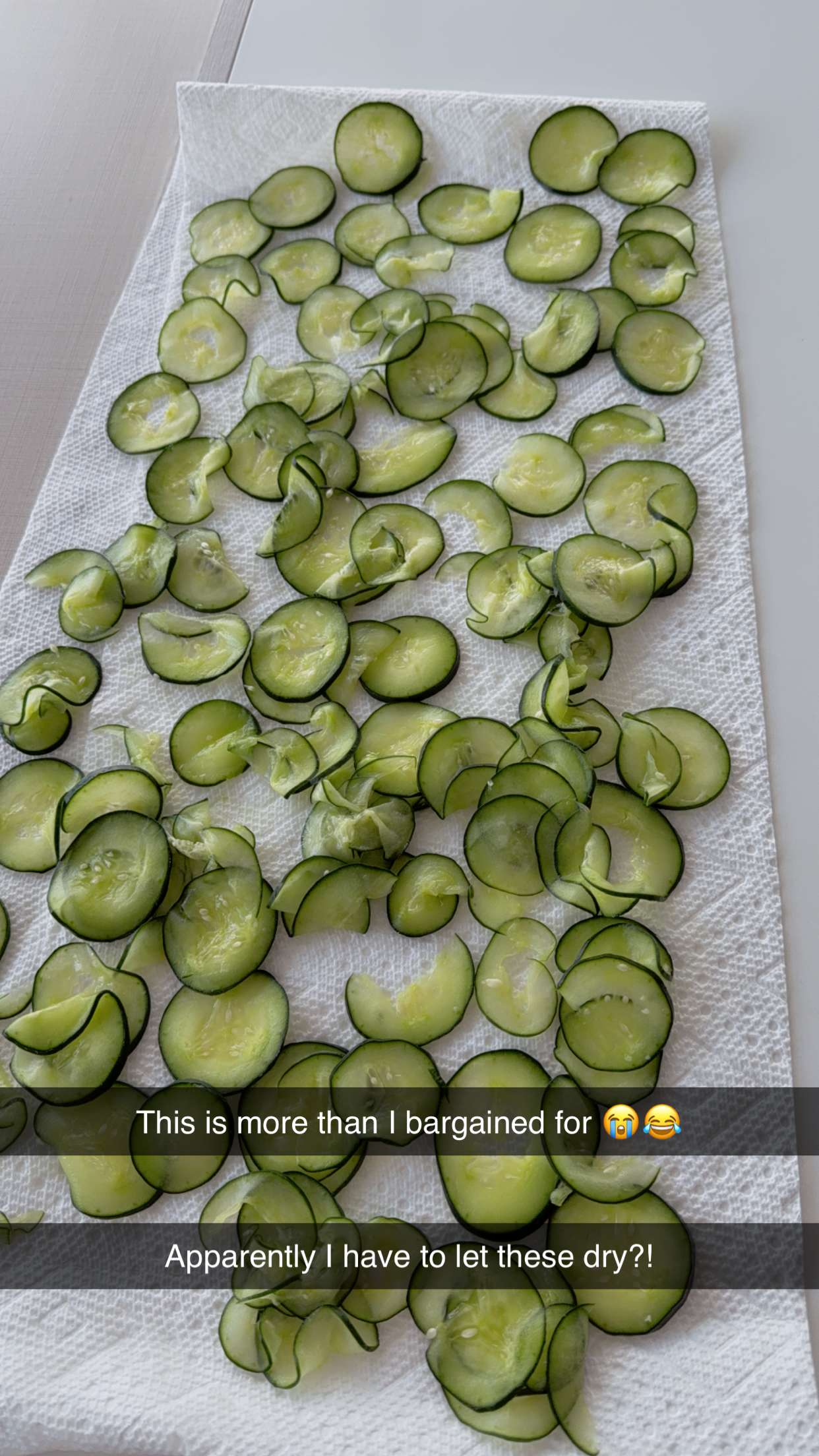 mbuccola97 snapchat image archive image