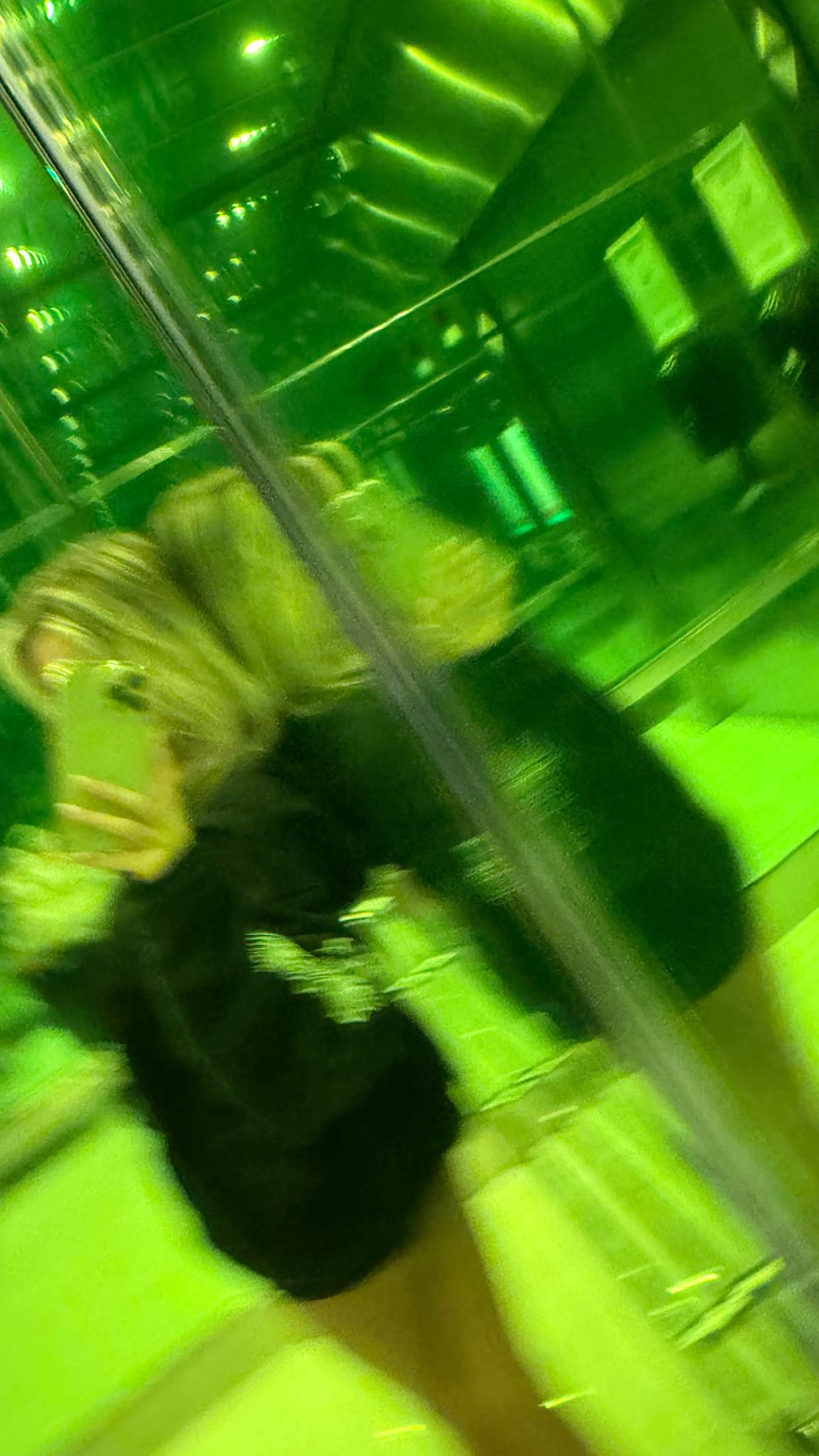 mbuccola97 snapchat image archive image