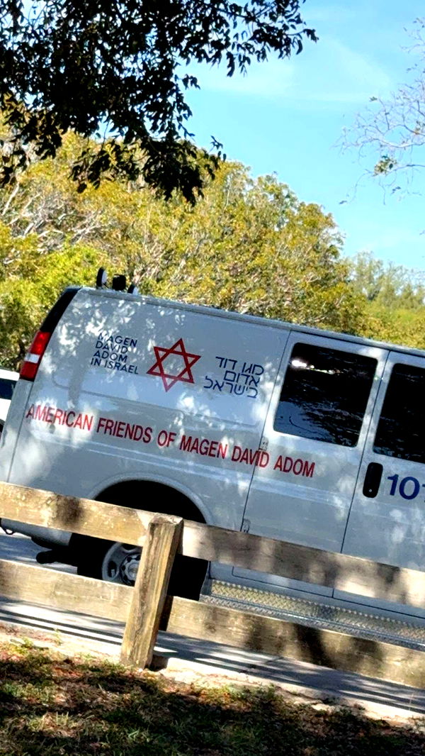 mbuccola97 image ~ Altpins