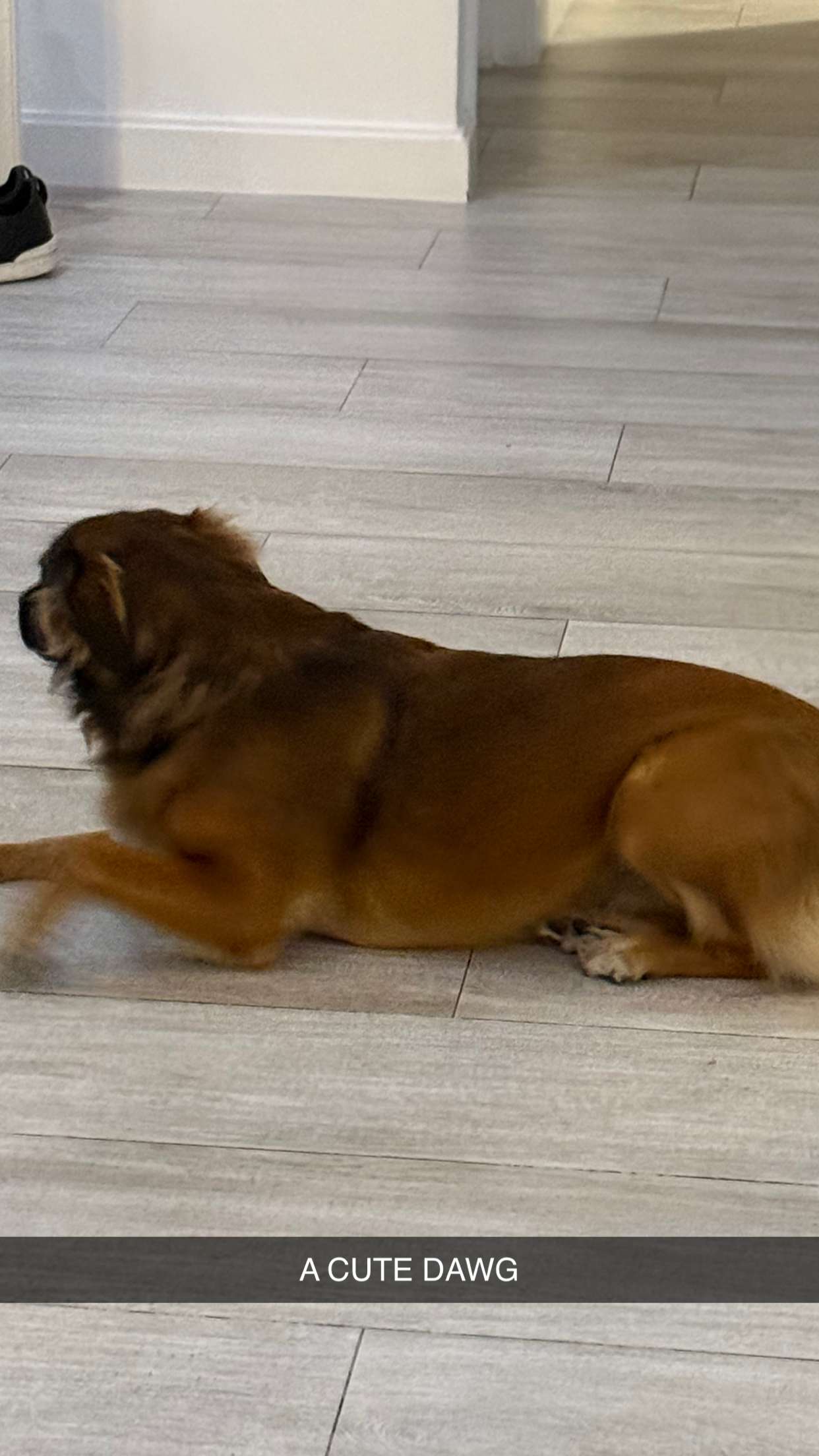 mbuccola97 snapchat image archive image