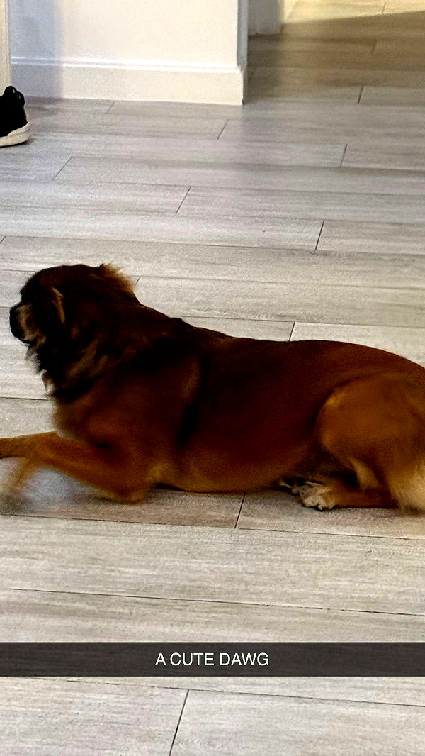 mbuccola97 image ~ Altpins