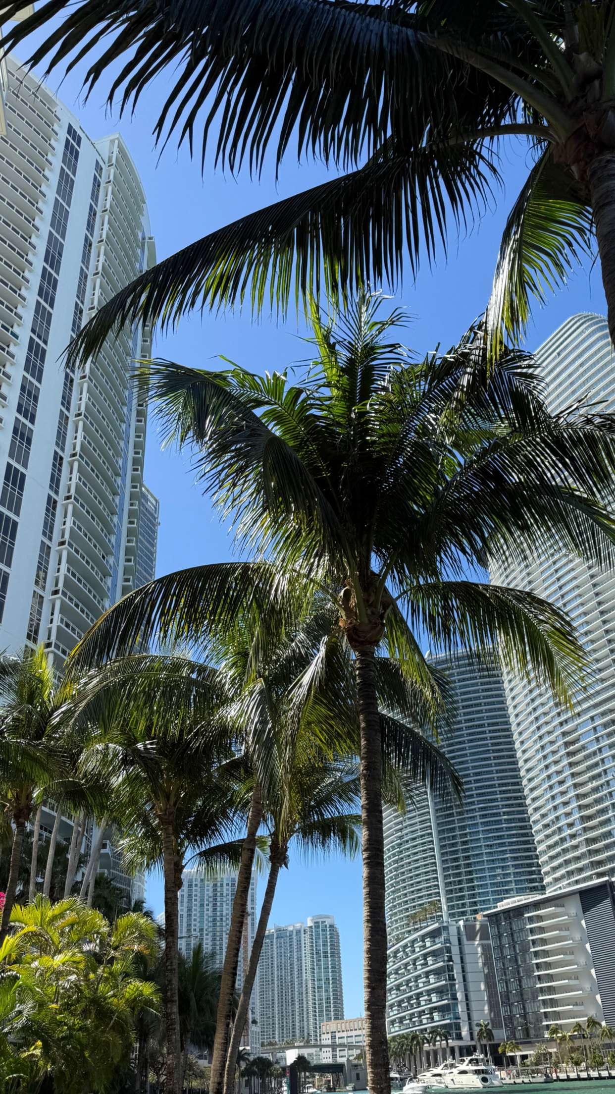 mbuccola97 snapchat image archive image