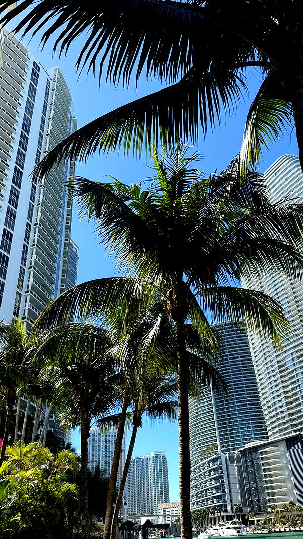 mbuccola97 image ~ Altpins