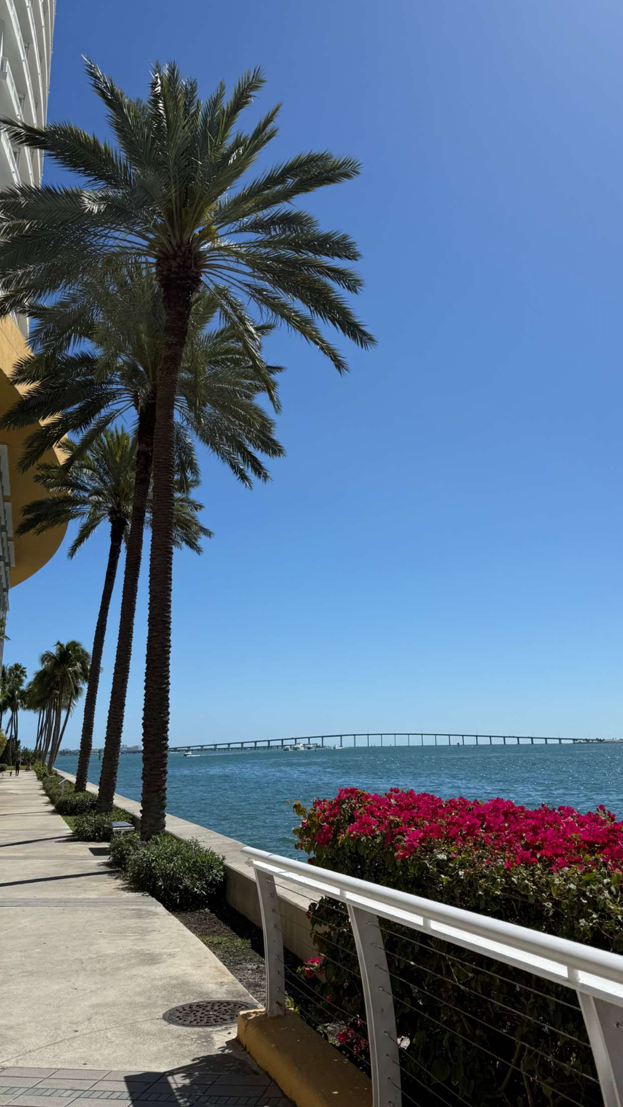 mbuccola97 snapchat image archive image