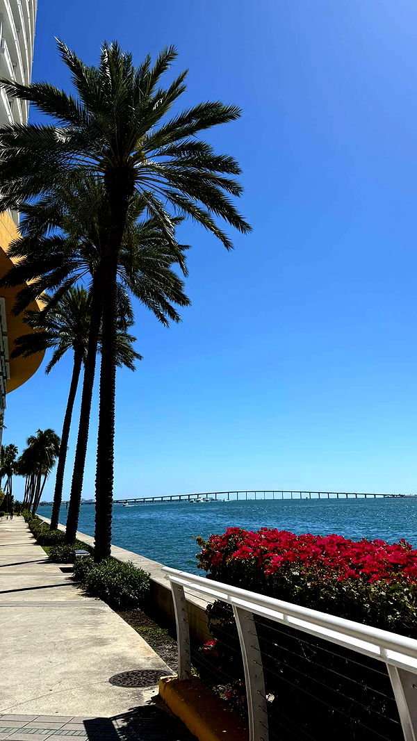 mbuccola97 image ~ Altpins