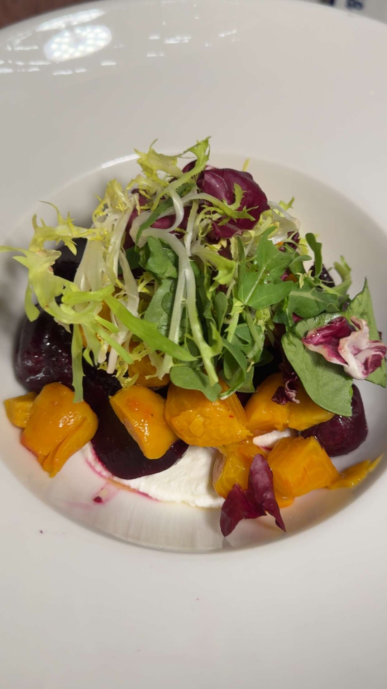 mbuccola97 snapchat image archive image