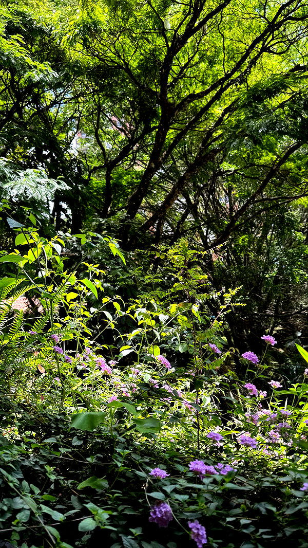 mbuccola97 image ~ Altpins