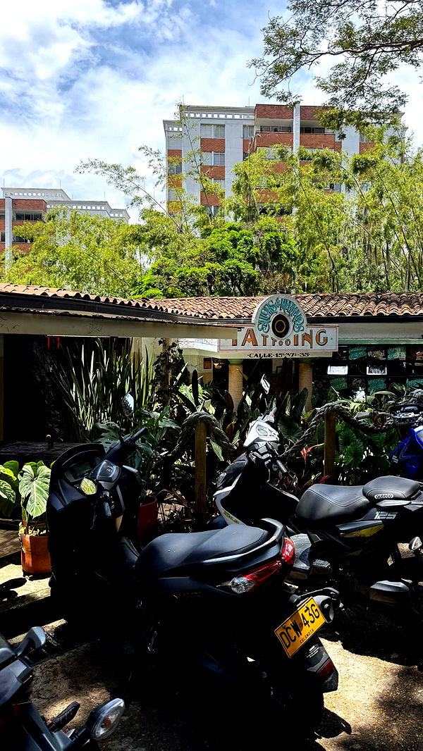 mbuccola97 image ~ Altpins