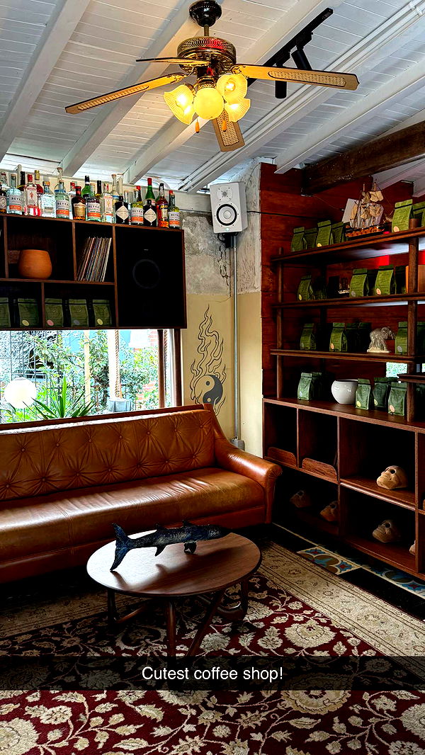 mbuccola97 image ~ Altpins