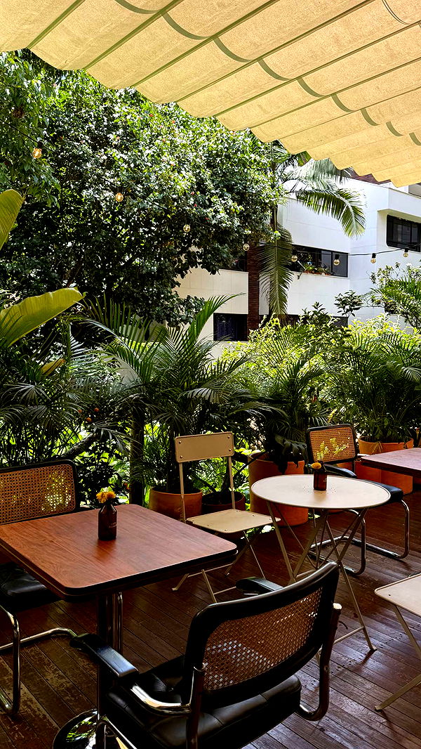 mbuccola97 image ~ Altpins