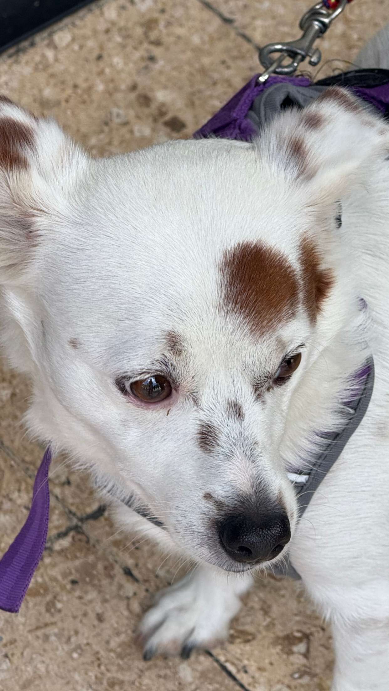 mbuccola97 snapchat image archive image