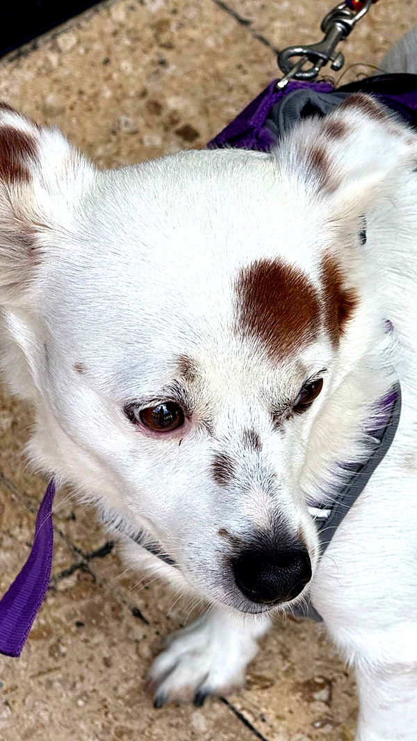 mbuccola97 image ~ Altpins