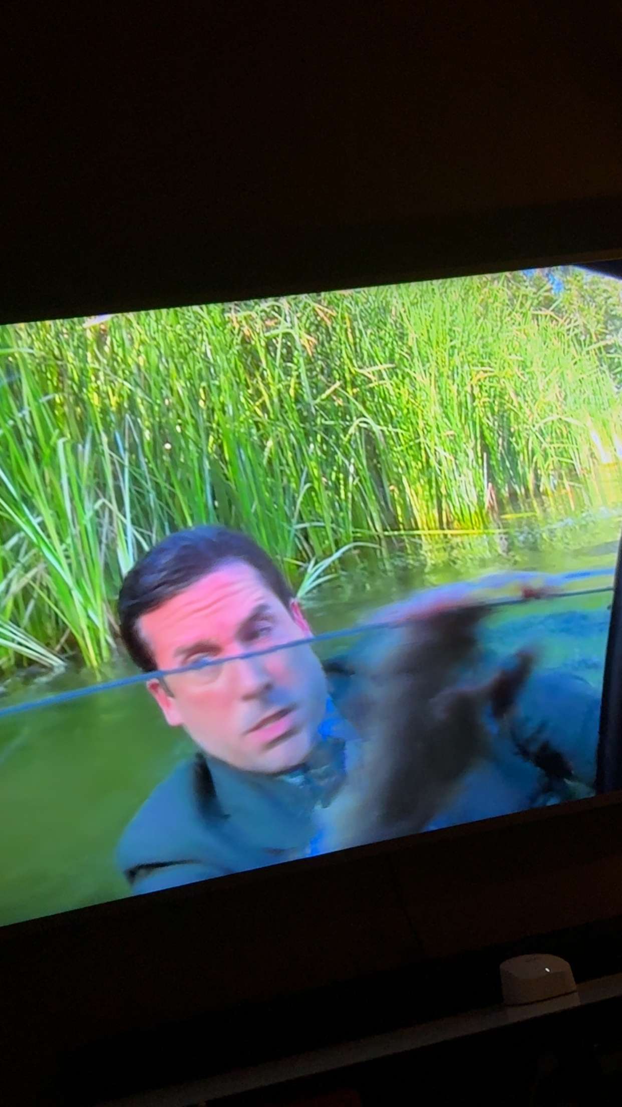 mbuccola97 snapchat image archive image