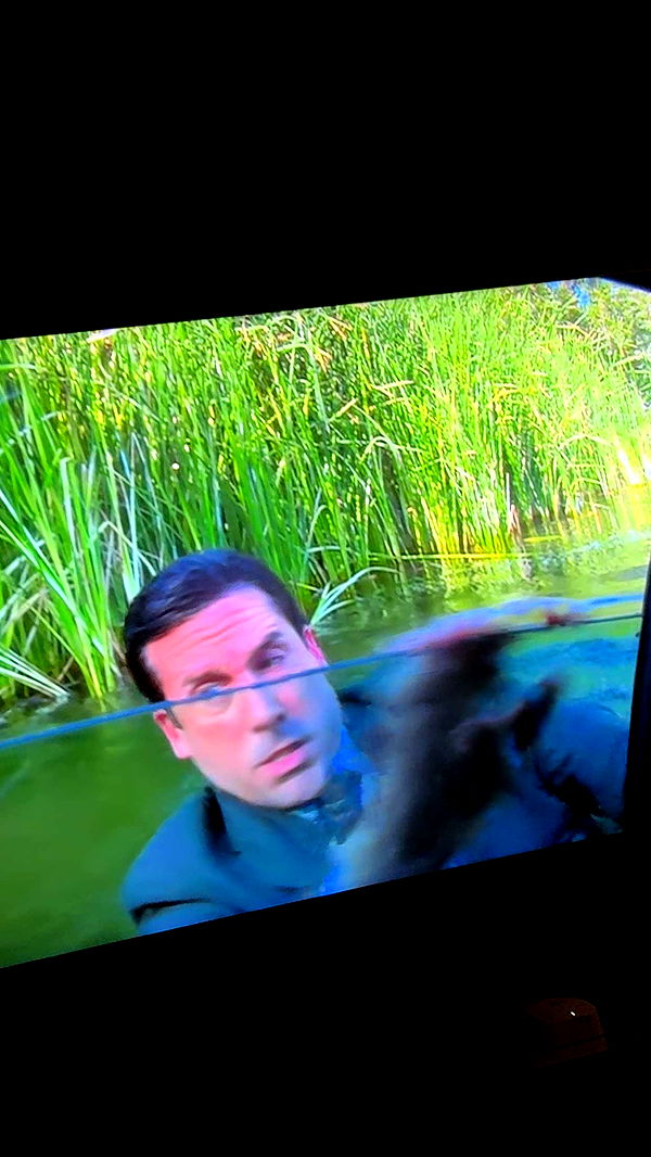 mbuccola97 image ~ Altpins