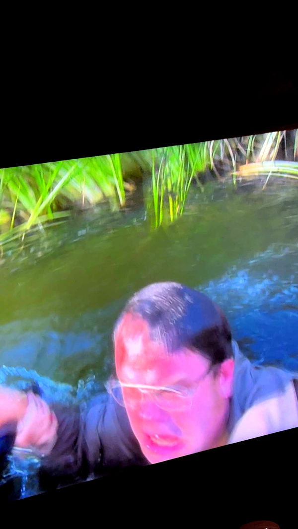 mbuccola97 image ~ Altpins