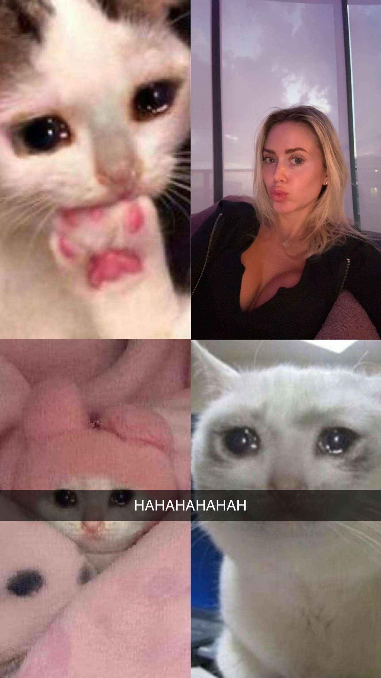 mbuccola97 snapchat image archive image