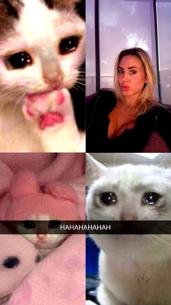 mbuccola97 image ~ Altpins