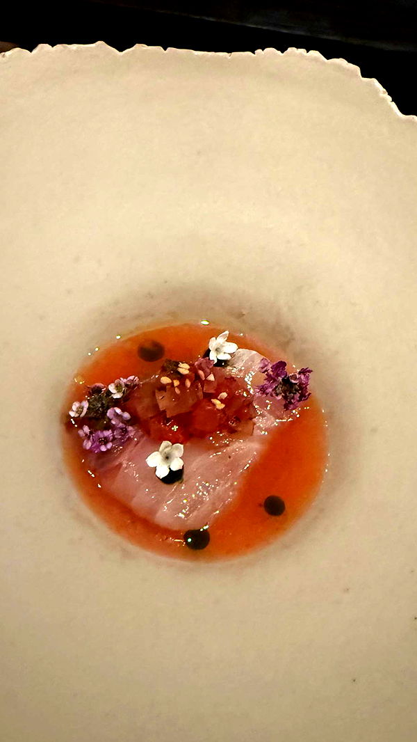 mbuccola97 image ~ Altpins