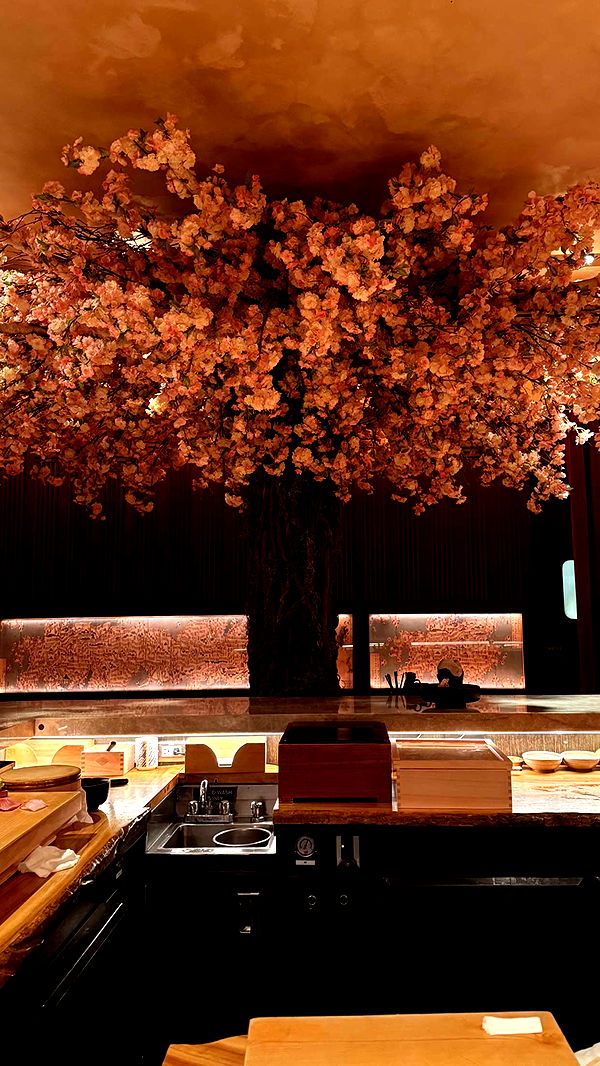 mbuccola97 image ~ Altpins