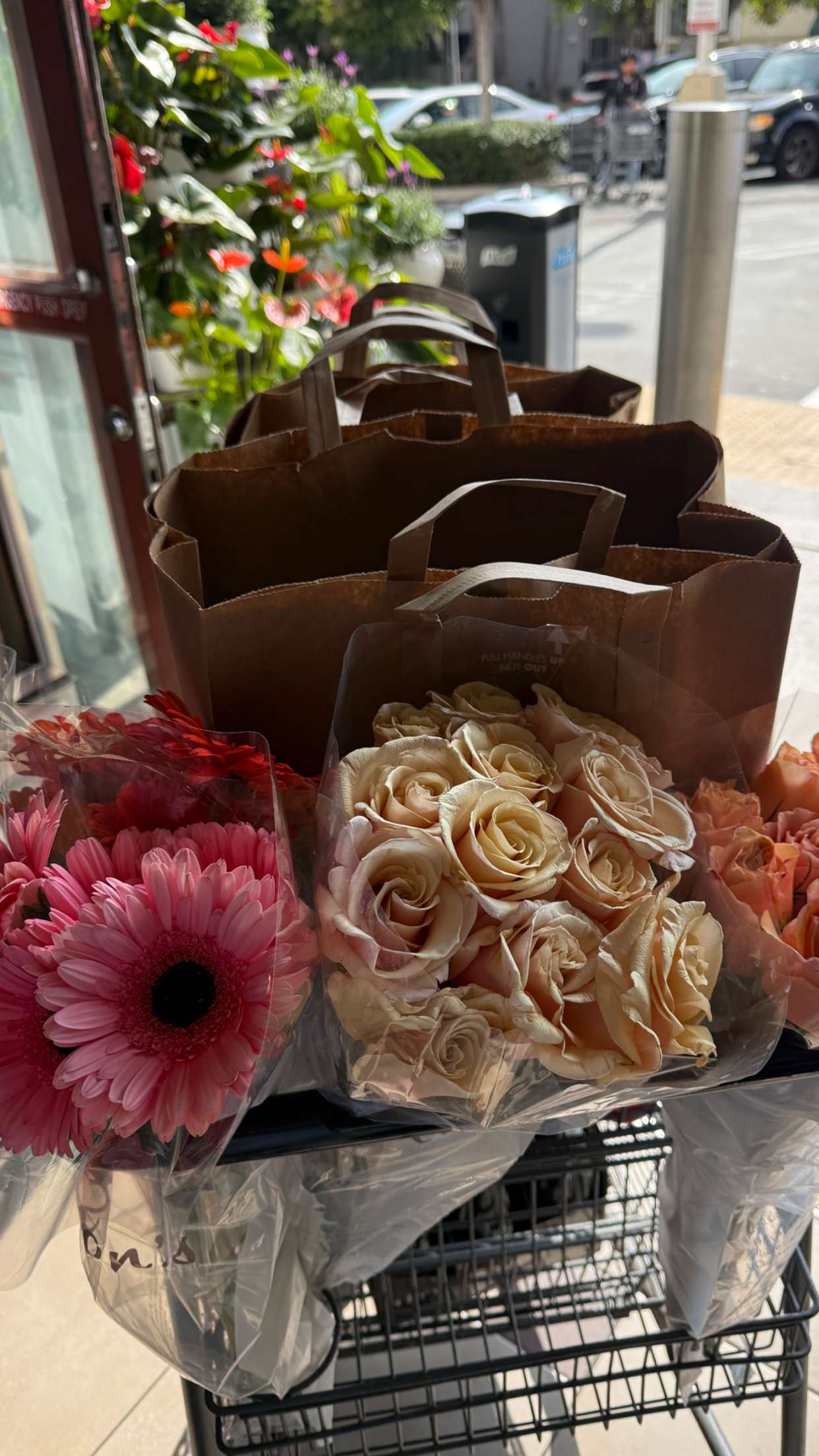 mbuccola97 snapchat image archive image